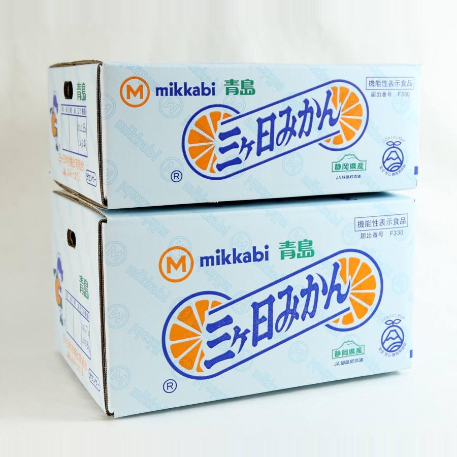 みかん 青島みかん 優品 2Lサイズ 3.5kg JAみっかび 産地直送【年内