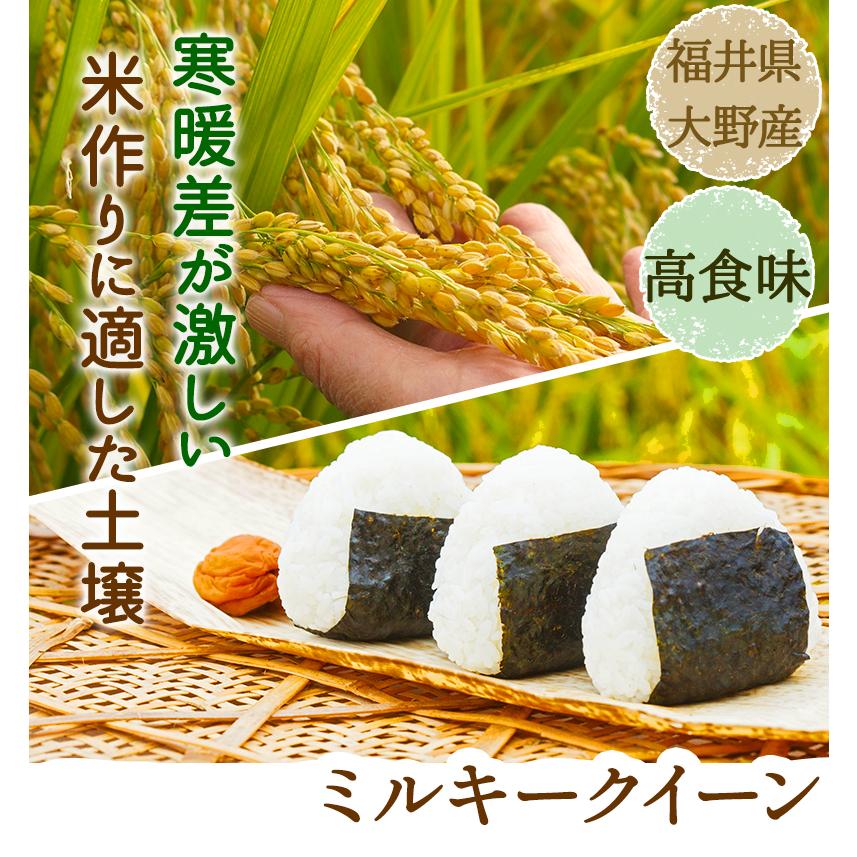 ミルキークイーン 5kg 令和5年福井県産 こだわりのお米 特上 : 発芽 