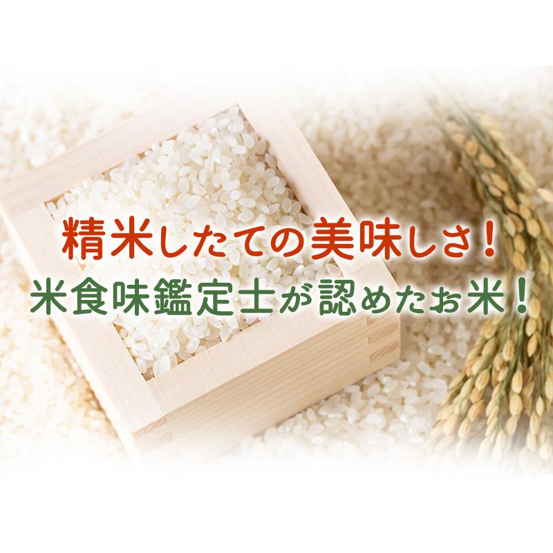 ミルキークイーン 5kg 令和5年福井県産 こだわりのお米 特上｜mikaku-club｜03