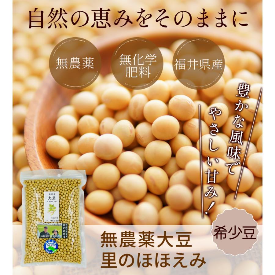 大豆 里のほほえみ 無農薬・無化学肥料栽培 福井県7年産 200g入 : 発芽