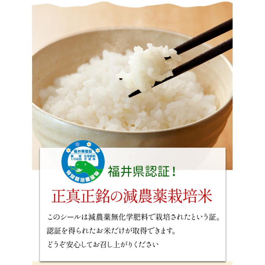 米 3kg コシヒカリ 「福の舞」特別栽培米 減農薬（農薬使用量5割以上削減）令和5年福井県産 送料無料｜mikaku-club｜04