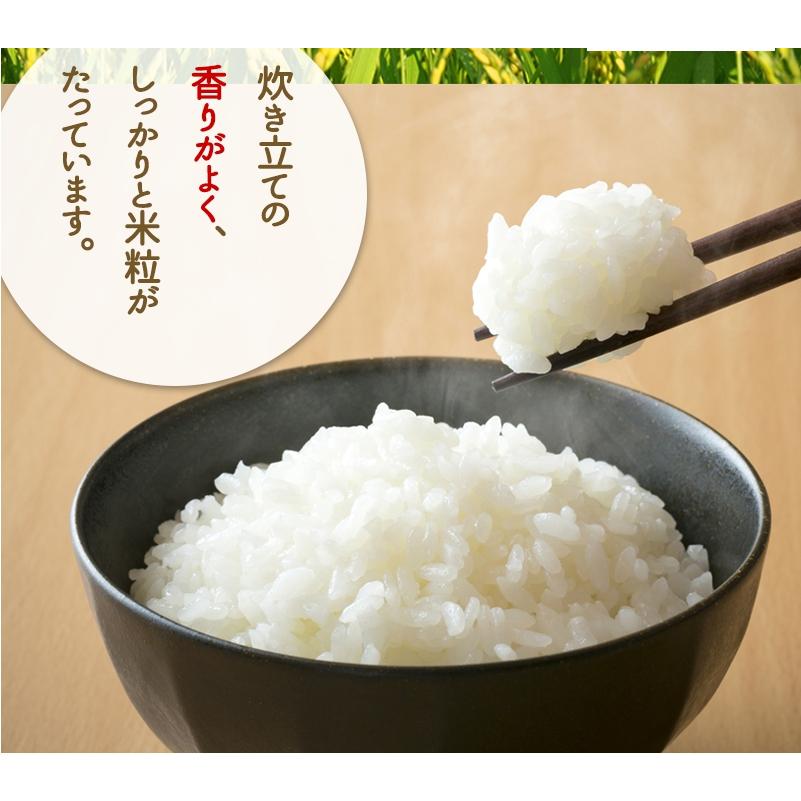 米 10kg（5kg×2） コシヒカリ 「福の舞」特別栽培米 減農薬（農薬使用量5割以上削減）令和5年福井県産 送料無料｜mikaku-club｜14