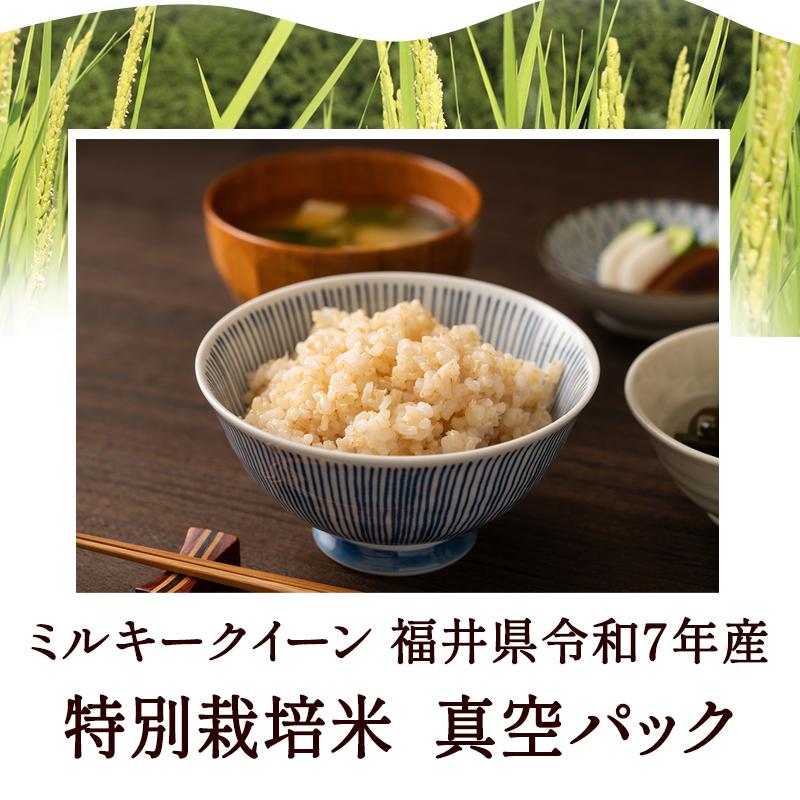 発芽玄米 ミルキークイーン 2Kg 残留農薬ゼロ 無洗米 甘みがあり