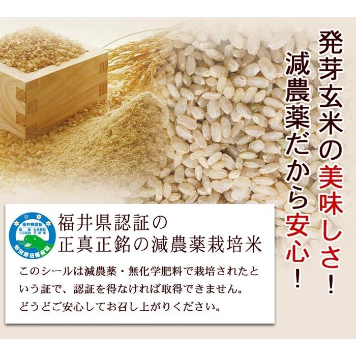 発芽玄米 ミルキークイーン 3Kg 残留農薬ゼロ 無洗米 甘みがあり