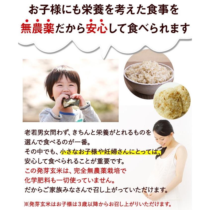 コシヒカリ 発芽玄米 無農薬・無化学肥料 コシヒカリ「特選」10Kg (5kg