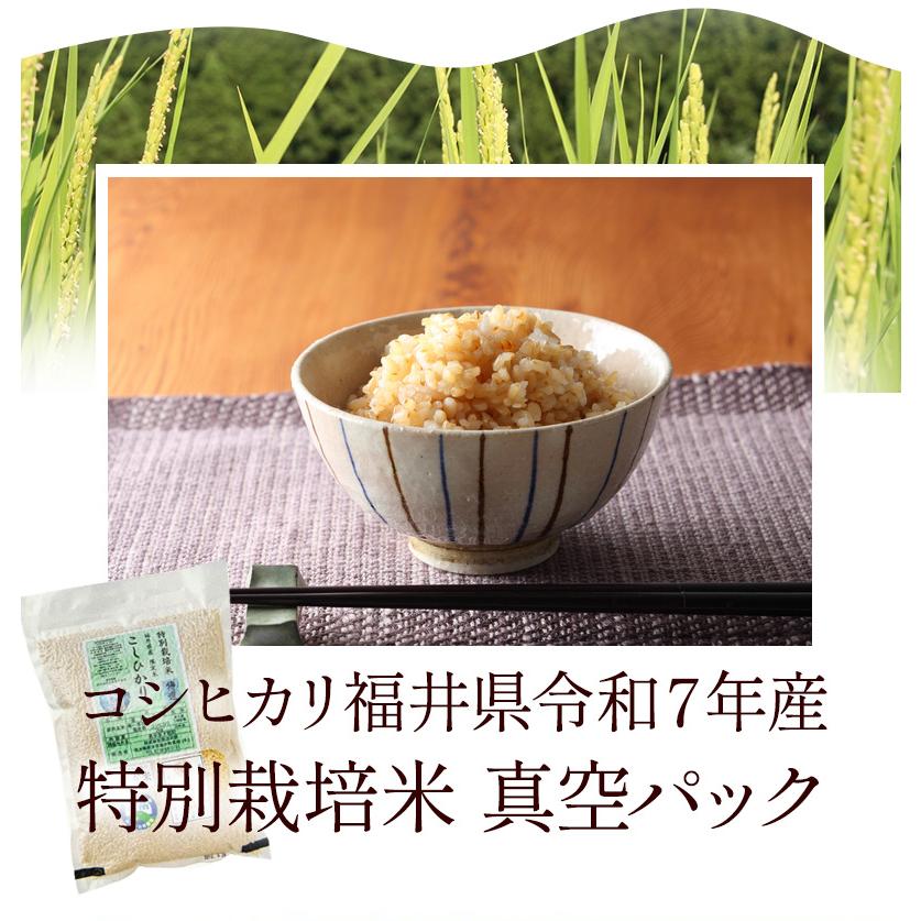コシヒカリ 発芽玄米 無農薬・無化学肥料 コシヒカリ「特選」3Kg 無