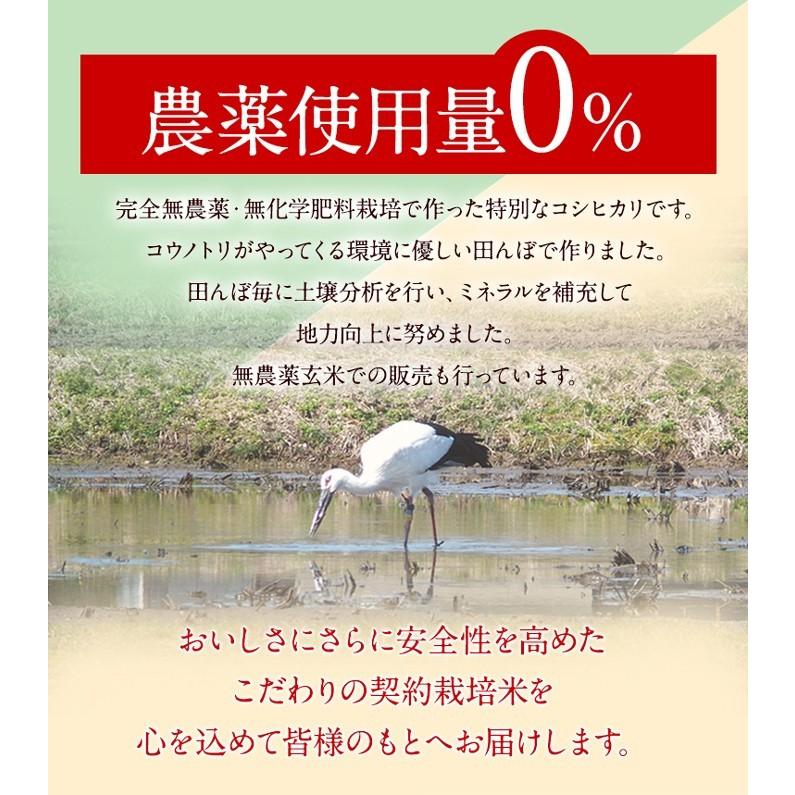 コシヒカリ 発芽玄米 無農薬・無化学肥料 コシヒカリ「特選」3Kg 無