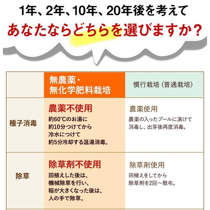 コシヒカリ 発芽玄米 無農薬・無化学肥料 コシヒカリ「特選」3Kg 無