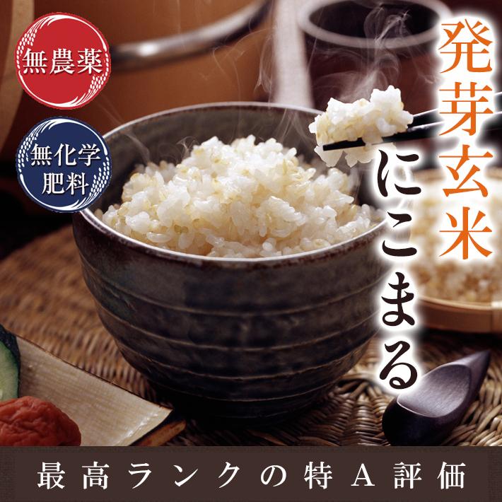 発芽玄米 無農薬 にこまる 「特選」 3Kg 大きな粒でふっくらとつややか 
