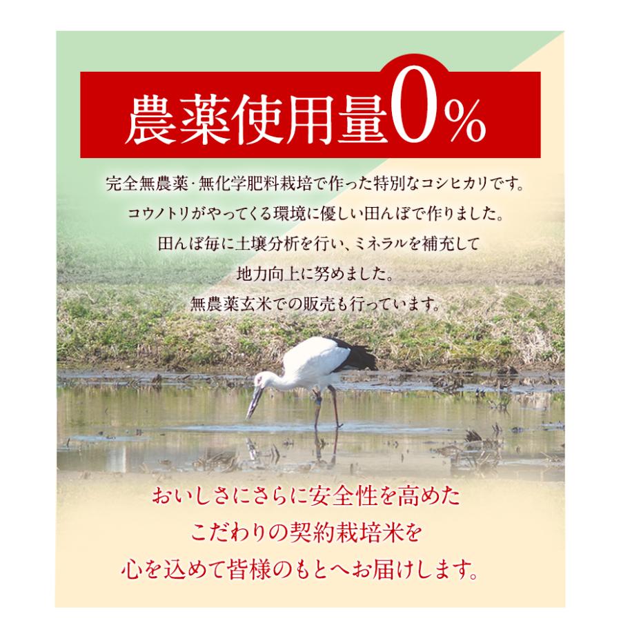 発芽玄米 無農薬 つや姫 お試し3合パック 無洗米 令和5年宮城県産　クロネコゆうパケット便で送料無料｜mikaku-club｜06