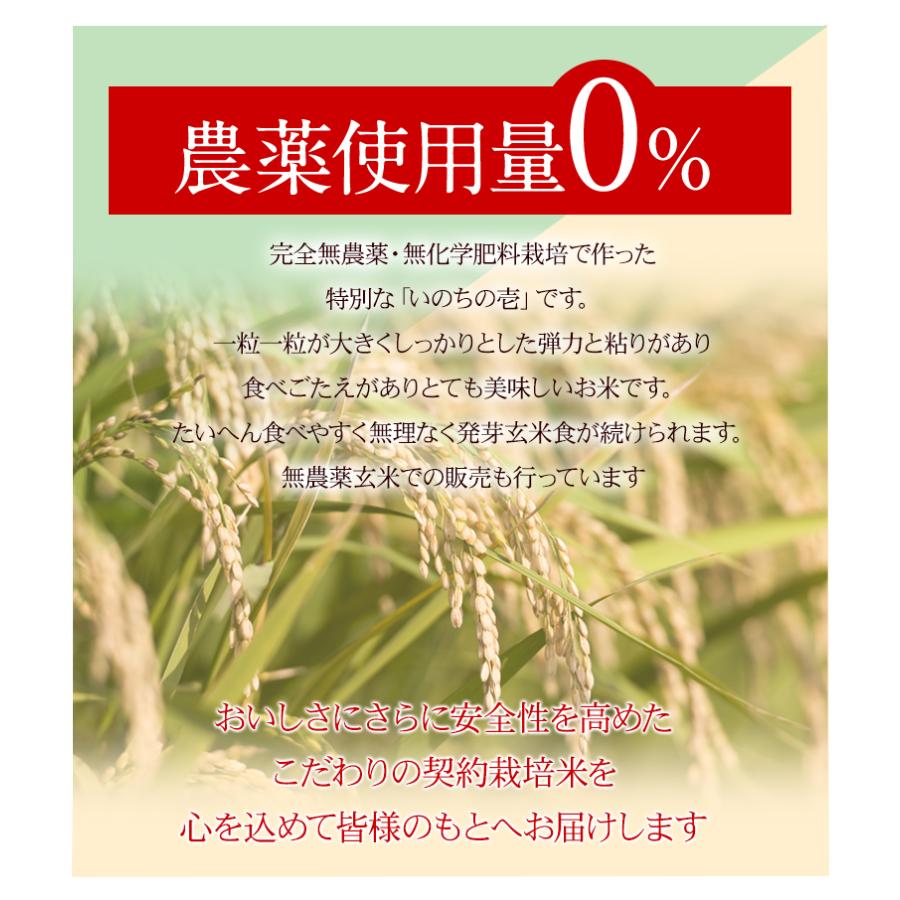 発芽玄米 無農薬 いのちの壱 令和5年福井県産 特別栽培米 5Kg 真空パック 送料無料 ※大粒の満足感のあるお米 ★アブシジン酸は検出されません｜mikaku-club｜06