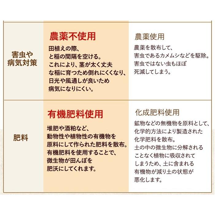 発芽玄米 無農薬 いのちの壱 令和5年福井県産 特別栽培米 5Kg 真空パック 送料無料 ※大粒の満足感のあるお米 ★アブシジン酸は検出されません｜mikaku-club｜08