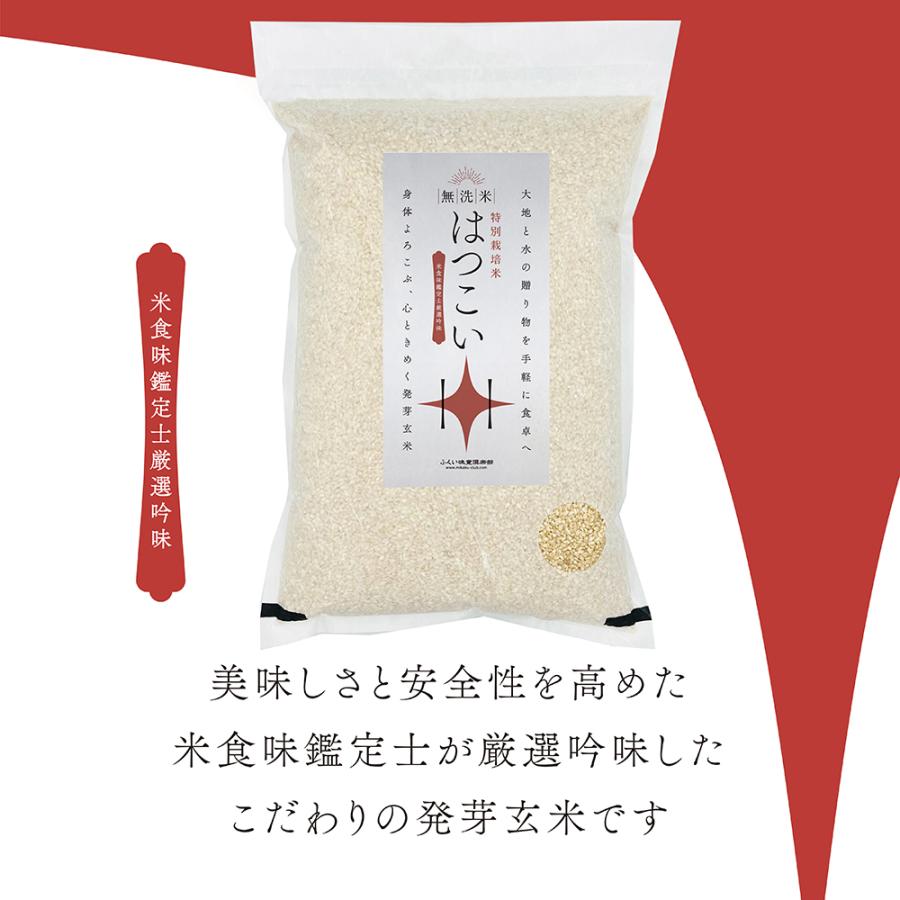 コシヒカリ 発芽玄米 無洗米 5kg 残留農薬ゼロ 特別栽培米コシヒカリ