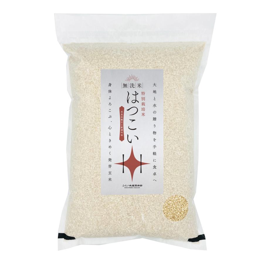 コシヒカリ 発芽玄米 無洗米 5kg 残留農薬ゼロ 特別栽培米コシヒカリ