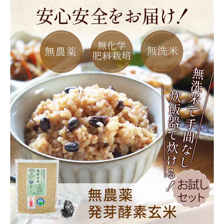 無農薬 発芽酵素玄米 ご飯3合セット メール便 送料無料 代金引換不可