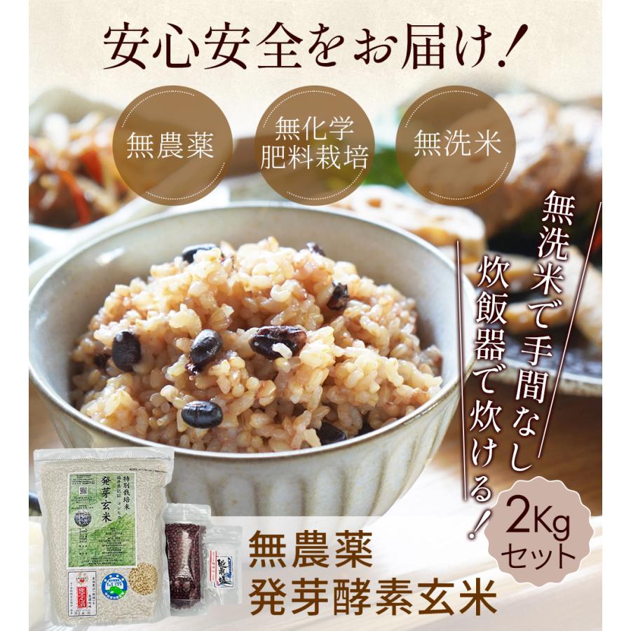 無農薬 発芽酵素玄米 2kgセット 送料無料 簡単にモチモチの発芽酵素