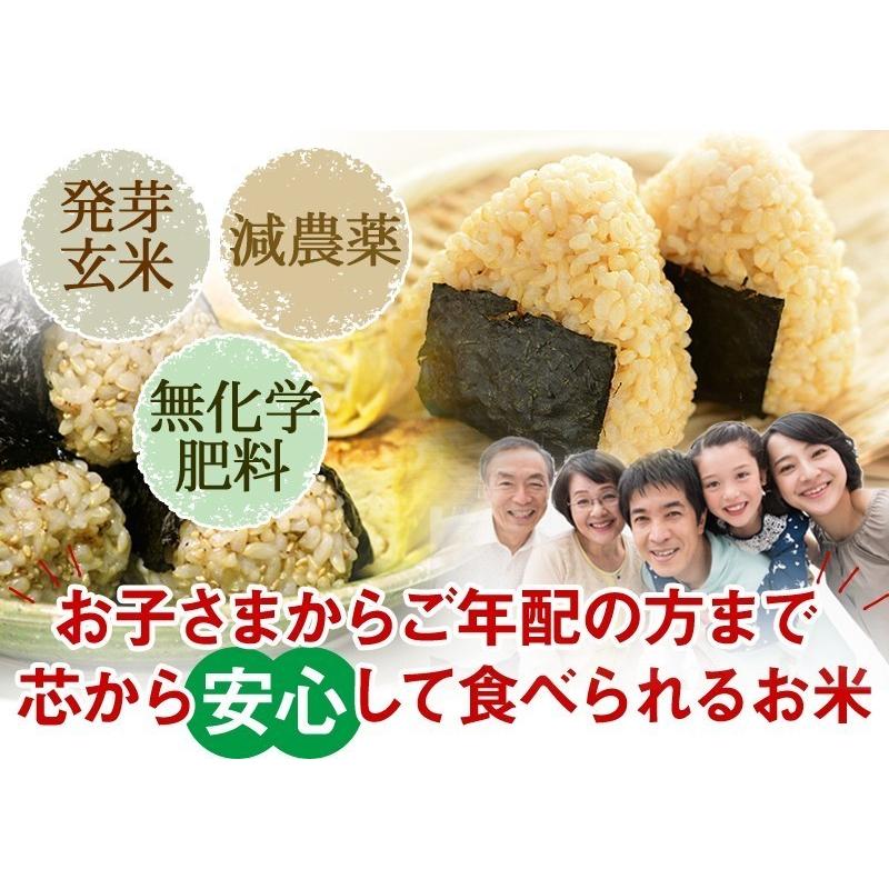コシヒカリ 発芽玄米 5Kg 残留農薬ゼロ 無洗米 もっちりで甘く豊かな