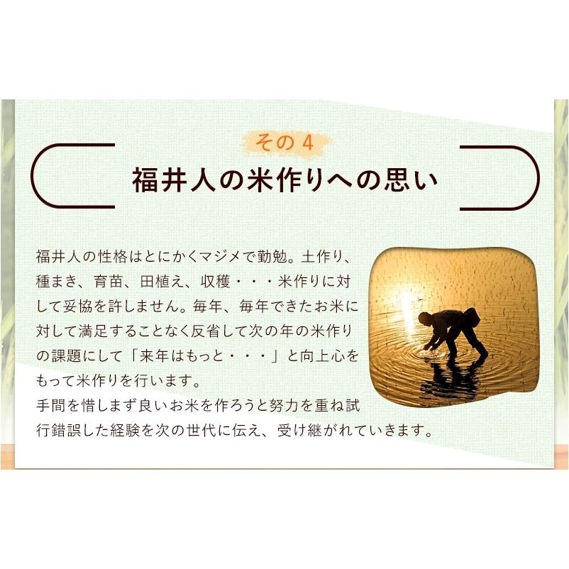 ブランド米　新米　福井県産　いちほまれ　令和6年度産　お米 お米場 田心] 令和6年産 米 5kg 白米 精米 お米 ギフト 高級米
