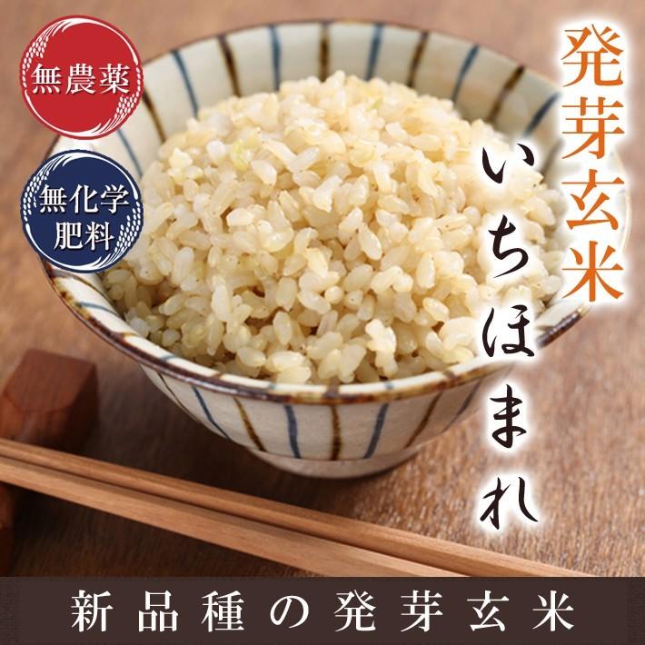 発芽玄米 無農薬 いちほまれ 5Kg 優しい甘さでなめらか食感 令和 発芽玄米 無農薬 いちほまれ 5Kg 優しい甘さでなめらか食感 令和