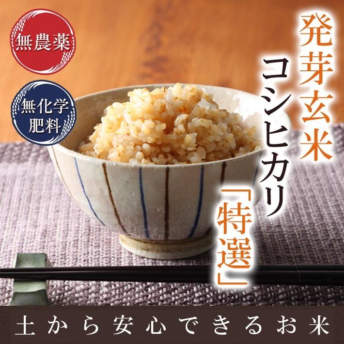 コシヒカリ 【値下げ】発芽玄米 無農薬・無化学肥料 コシヒカリ「特選
