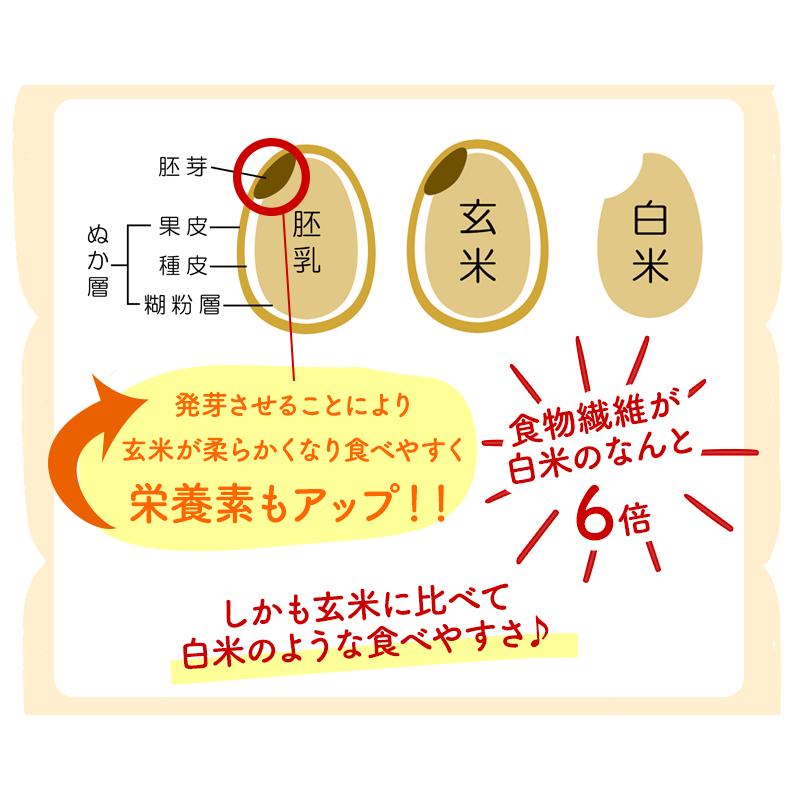 発芽玄米 無農薬・無化学肥料 コシヒカリ「特選」2Kg 無洗米 令和5年福井県産 特別栽培米 フレッシュ真空パック 送料無料 ★アブシジン酸は検出されません｜mikaku-club｜14