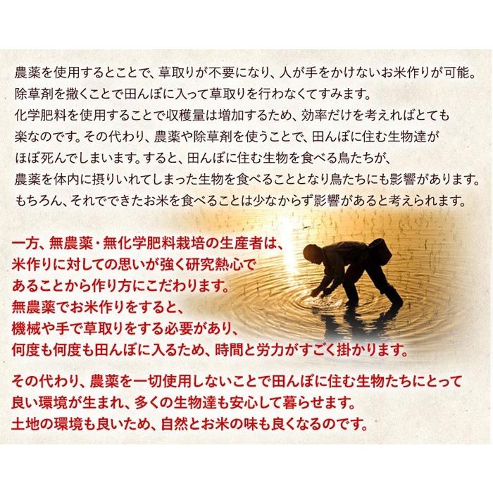 米づくりが大きく変った！ ７年産コシヒカリ 元気な玄米10kg 特別栽培①無農薬 楽天市場】＼ランキング1位獲得／ 米 玄米 10kg 特別栽培米 コシヒカリ