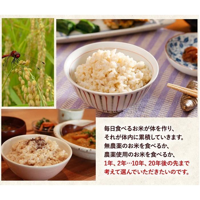 コシヒカリ 発芽玄米 無農薬・無化学肥料 コシヒカリ「特選」2Kg 無