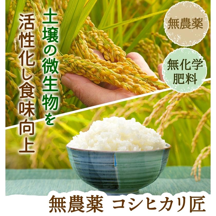 コシヒカリ 無農薬 玄米 米 5kg 匠 令和6年福井県産 送料無料 無 コシヒカリ 無農薬 玄米 米 5kg 匠 令和6年福井県産 送料無料 無
