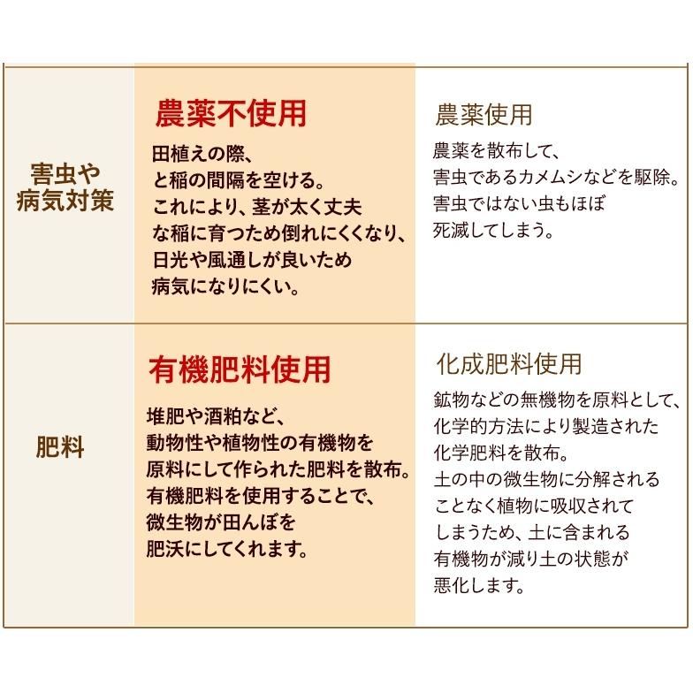 コシヒカリ 無農薬 玄米 米 5kg 匠 令和6年福井県産 送料無料 無 コシヒカリ 無農薬 玄米 米 5kg 匠 令和6年福井県産 送料無料 無