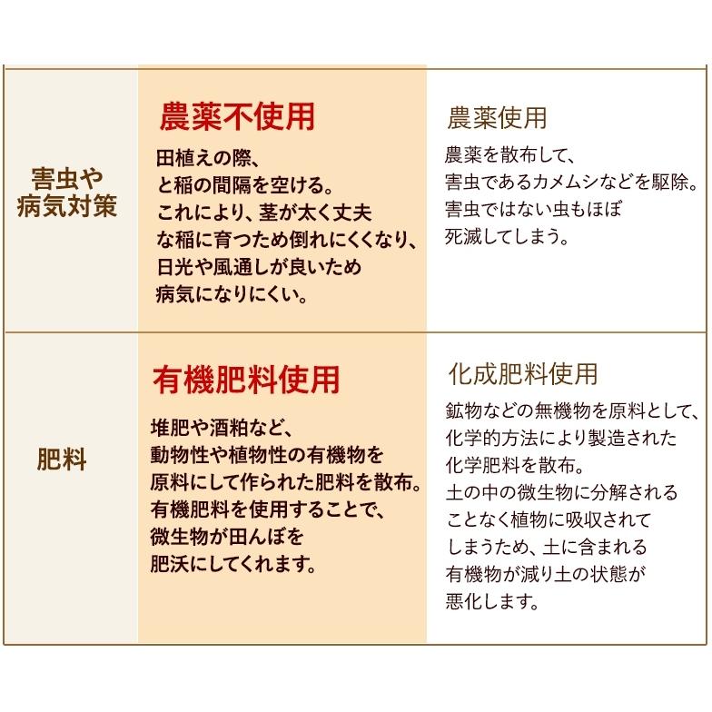 無農薬 玄米 米 5kg 無農薬 コシヒカリ 匠 令和5年福井県産 送料無料 無農薬・無化学肥料栽培｜mikaku-club｜13