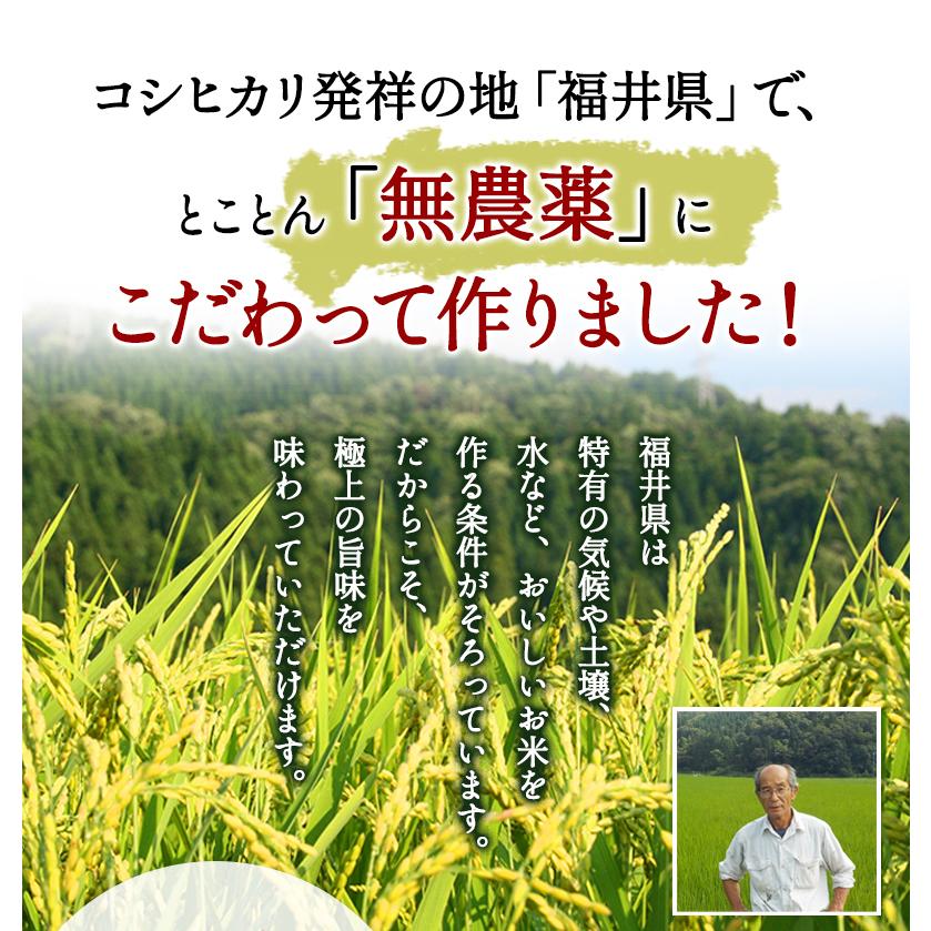 コシヒカリ 無農薬 玄米 米 5kg 匠 令和6年福井県産 送料無料 無 コシヒカリ 無農薬 玄米 米 5kg 匠 令和6年福井県産 送料無料 無