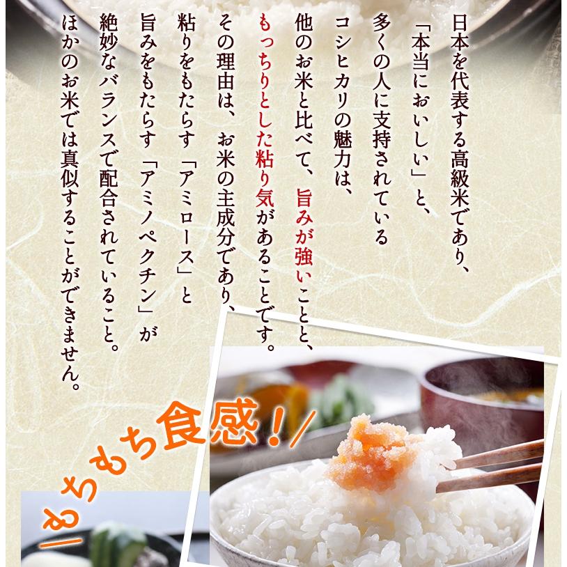 コシヒカリ 【期間限定特価中】無農薬 米 玄米 2kg 無農薬 特選 令和7