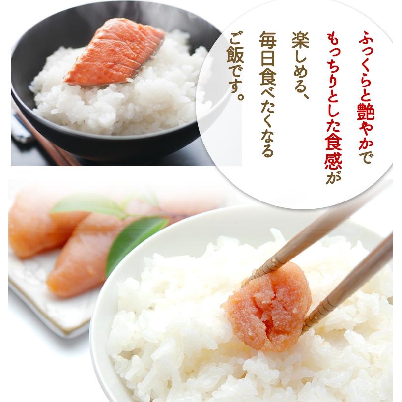 コシヒカリ 【期間限定特価中】無農薬 米 玄米 2kg 無農薬 特選 令和7