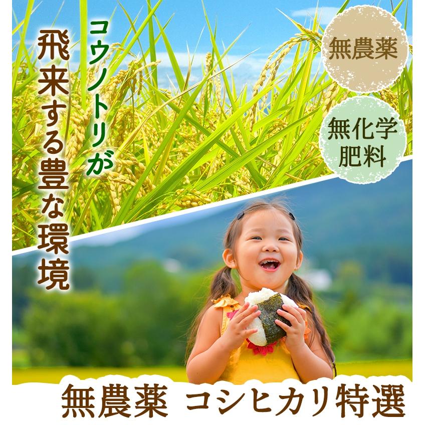 コシヒカリ 【期間限定特価中】無農薬 米 玄米 2kg 無農薬 特選 令和7