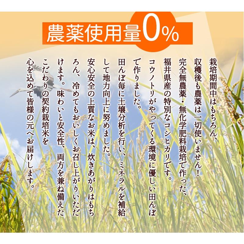 コシヒカリ 無農薬 米 玄米 5kg 特選 令和6年福井県産 送料無料 コシヒカリ 無農薬 米 玄米 5kg 特選 令和6年福井県産 送料無料