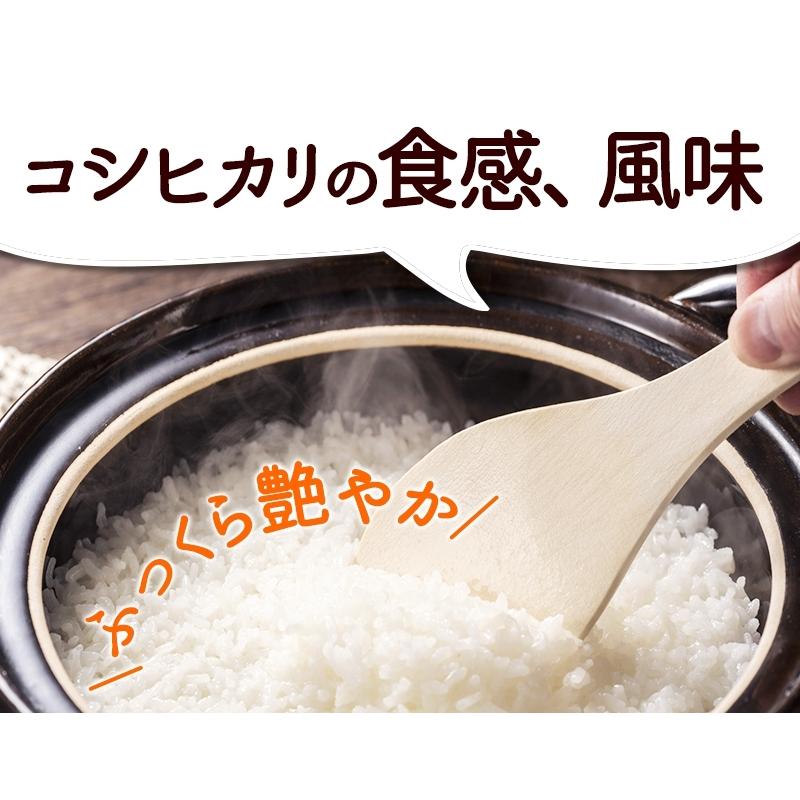 コシヒカリ 無農薬 玄米 米 2kg 無農薬 匠 令和7年福井県産 送料無料