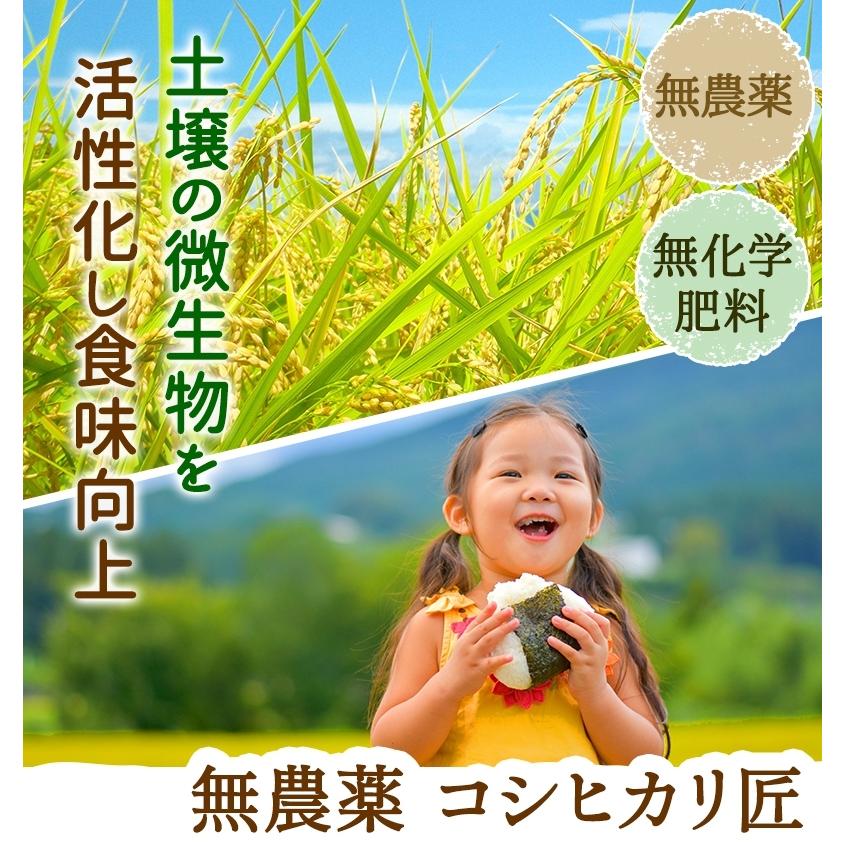 コシヒカリ 無農薬 玄米 米 2kg 無農薬 匠 令和7年福井県産 送料無料