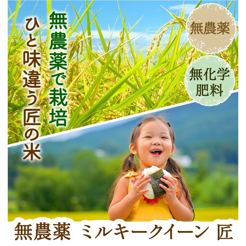 無農薬 玄米 米 5kg 無農薬 ミルキークイーン 匠 令和5年福井県産 送料無料 無農薬・無化学肥料栽培｜mikaku-club｜20