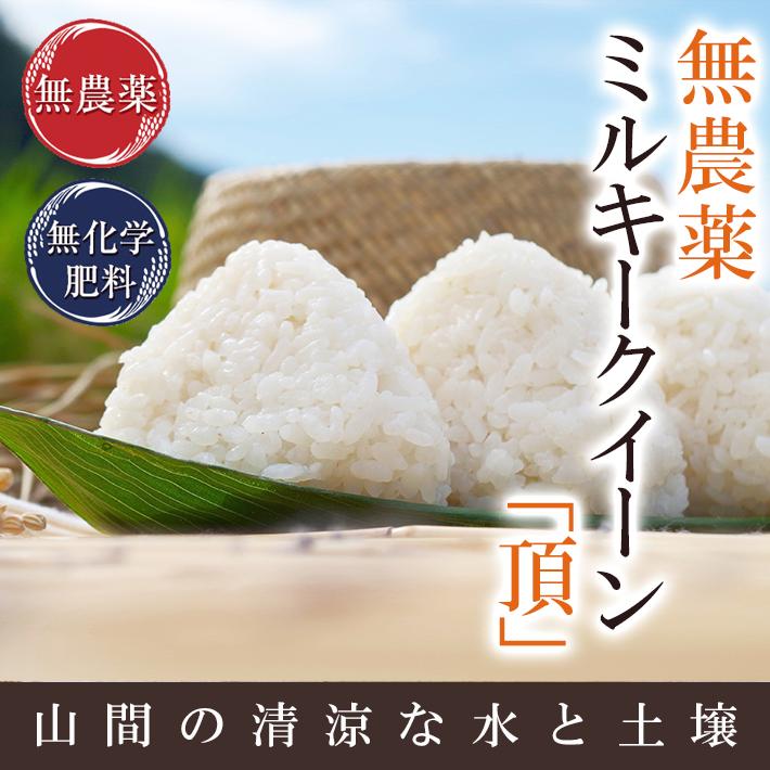 ミルキークイーン 無農薬 玄米 米 15kg 無農薬 頂 令和6年福井県産
