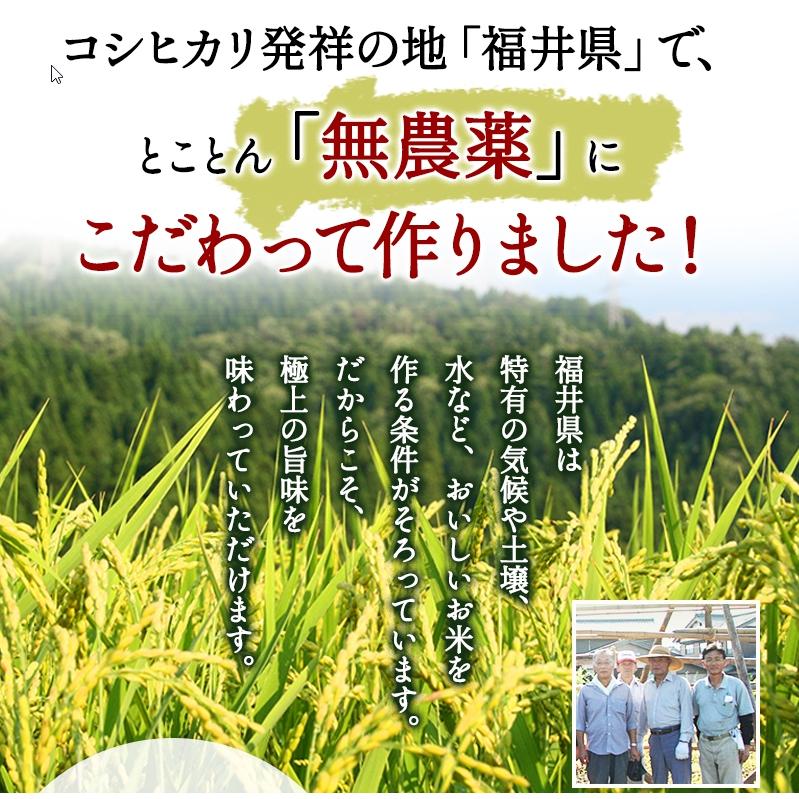 無農薬 米 玄米 10kg(5kg×2） 無農薬 コシヒカリ 特選 令和5年福井県産 送料無料 無農薬・無化学肥料栽培｜mikaku-club｜17