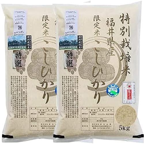 無農薬 米 玄米 10kg(5kg×2） 無農薬 コシヒカリ 特選 令和5年福井県産
