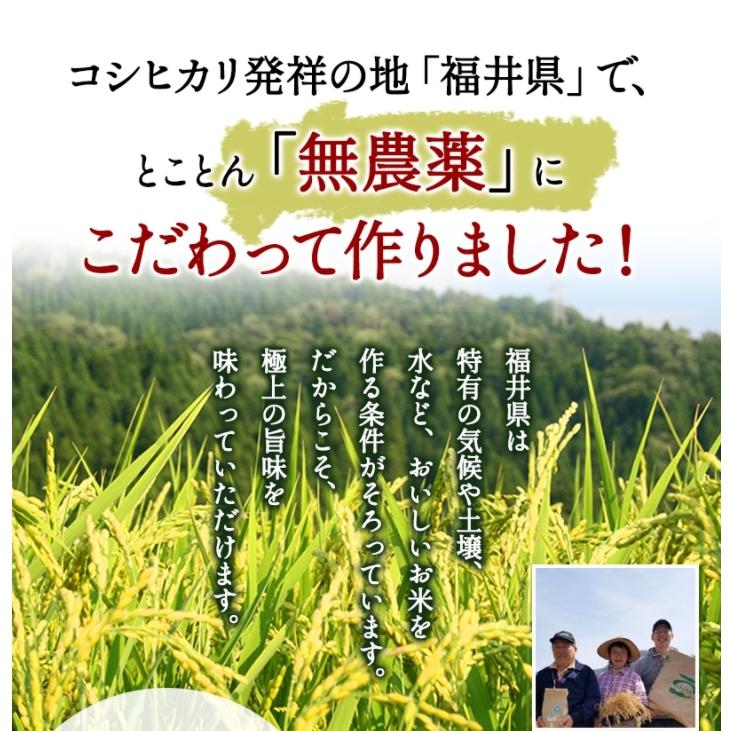 無農薬 玄米 米 5kg 無農薬 ミルキークイーン プレミアム 令和5年福井県産 送料無料 無農薬・無化学肥料栽培｜mikaku-club｜17