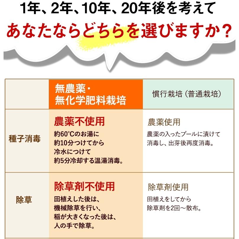 無農薬 玄米 米 10kg(5kg×2） 無農薬 ミルキークイーン 特選 令和5年福井県産 送料無料 無農薬・無化学肥料栽培｜mikaku-club｜12