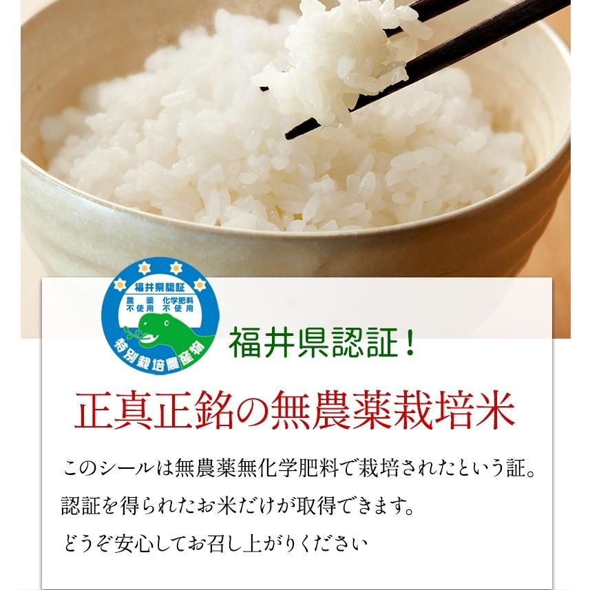 無農薬 玄米 米 20kg(5kg×4） 無農薬 ミルキークイーン 特選 令和5年福井県産 送料無料 無農薬・無化学肥料栽培｜mikaku-club｜04