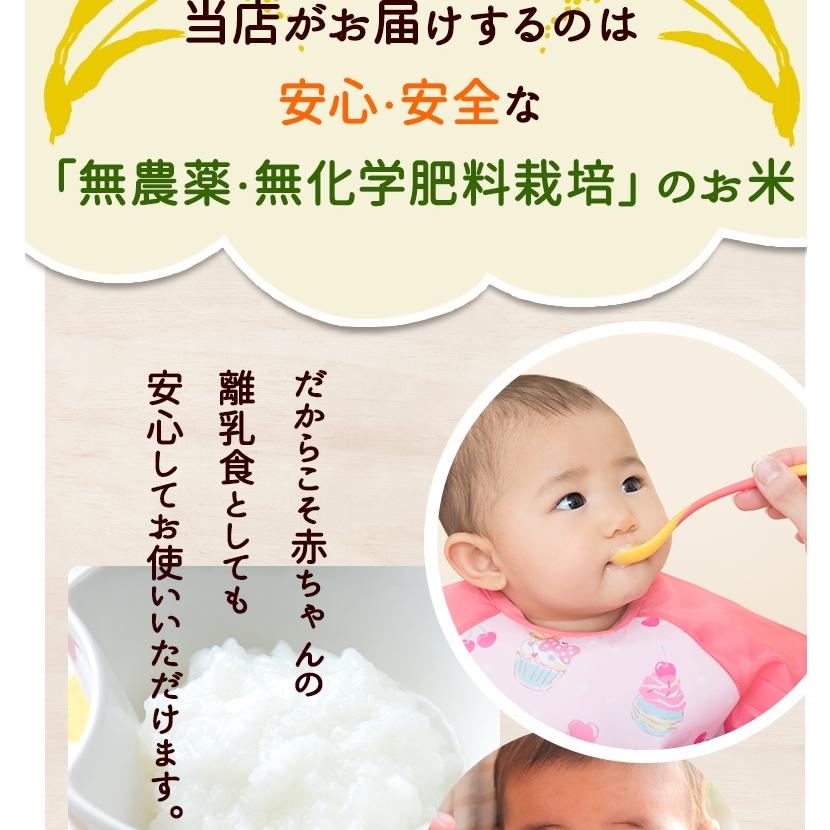 無農薬 玄米 米 3kg 無農薬 コシヒカリ プレミアム 新米 令和7年福井県産 送料無料 無農薬・無化学肥料栽培