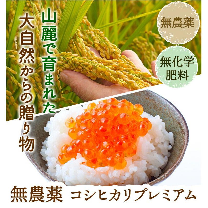 コシヒカリ 無農薬 玄米 米 5kg 無農薬 プレミアム 令和7年福井県産