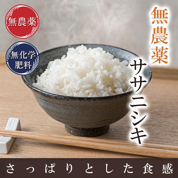 玄米 ササニシキ 令和5年産 10キロ ☆無農薬 ☆無肥料 ☆自然栽培