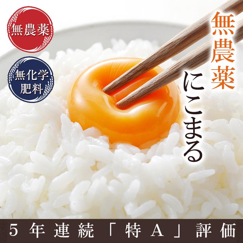 オーガニック 無農薬 米 5kg 無農薬 にこまる 令和7年福井県産 送料 