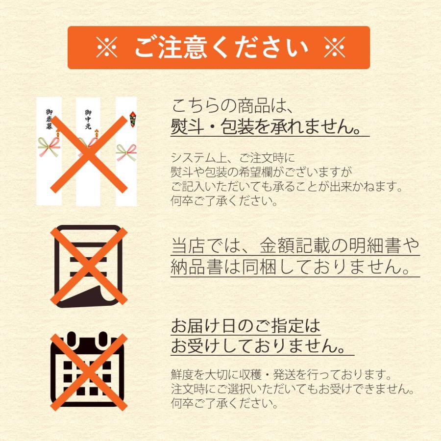 ミヤモトオレンジガーデン みかん 5kg 甘い 訳あり 小玉 こつぶ 小粒 