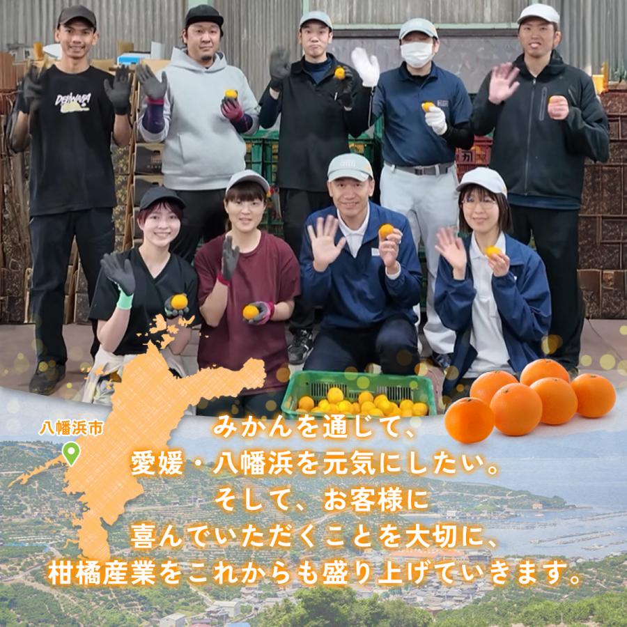 ミヤモトオレンジガーデン みかん 5kg 甘い 訳あり 小玉 こつぶ 小粒